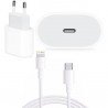 Chargeur Iphone 20W Original