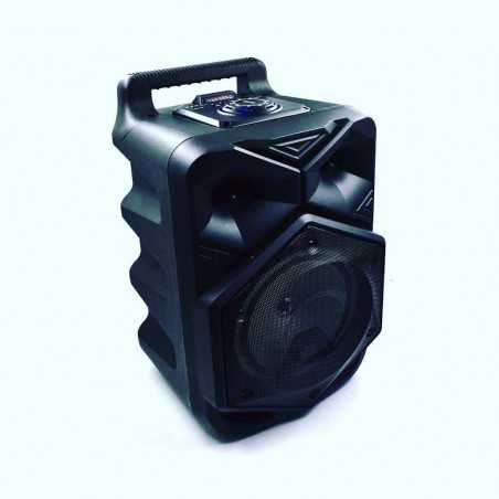 Haut parleur Bluetooth avec Microphone