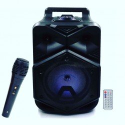 Haut parleur Bluetooth avec Microphone