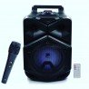 Haut parleur Bluetooth avec Microphone
