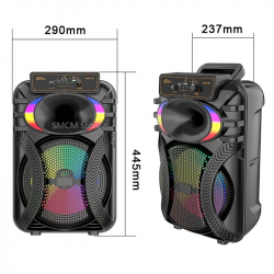 Measure Haut parleur avec Microphones Portable HiFi System 20000W