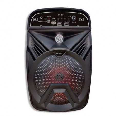 Speaker Portable Karaoke High Bass Bluetooth Support Micro SD / TF / USB Flash et FM Radio