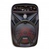 Speaker Portable Karaoke High Bass Bluetooth Support Micro SD / TF / USB Flash et FM Radio
