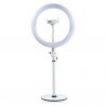 Ring Light LED Fashion 10" Lamp Studio Photo Phone Video Live Photography Selfie Light