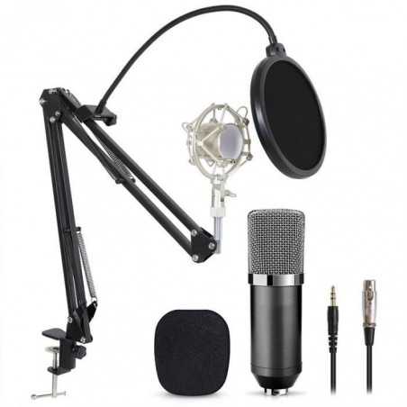 Kit Studio BM800 Professionnel Microphone Live Stream Broadcasting Recording  pour Skype Youtuber Karaoke Gaming Recording