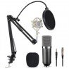 Kit Studio BM800 Professionnel Microphone Live Stream Broadcasting Recording  pour Skype Youtuber Karaoke Gaming Recording